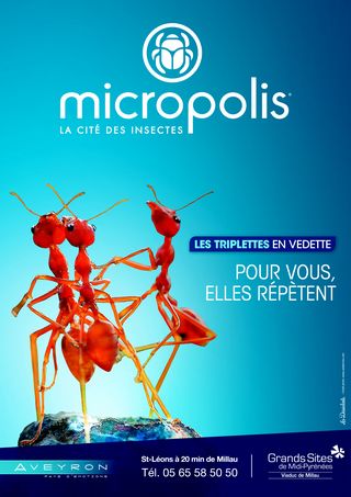 Affiche micropolis 2013